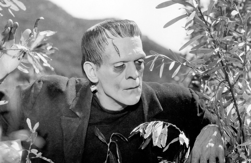 Франкенштейн / Frankenstein (1931)