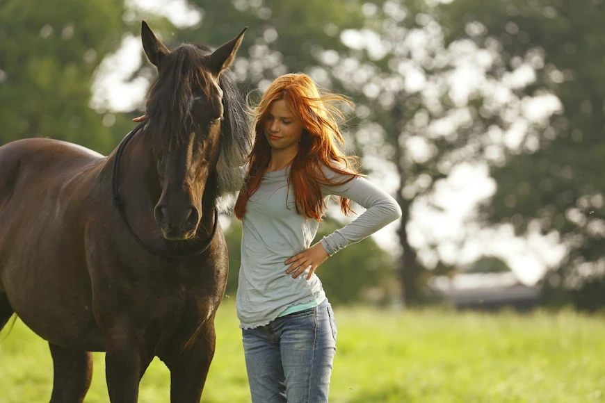 50 лучших фильмов 2013 года