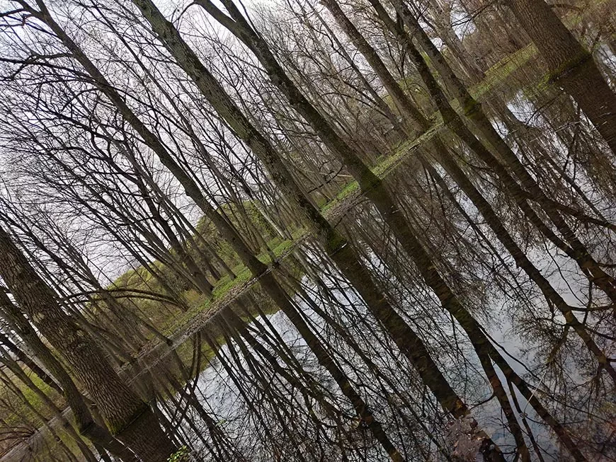 Примеры фотографий, сделанных камерой смартфона vivo V70