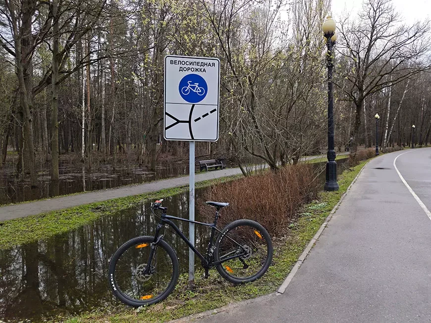 Примеры фотографий, сделанных камерой смартфона vivo V70