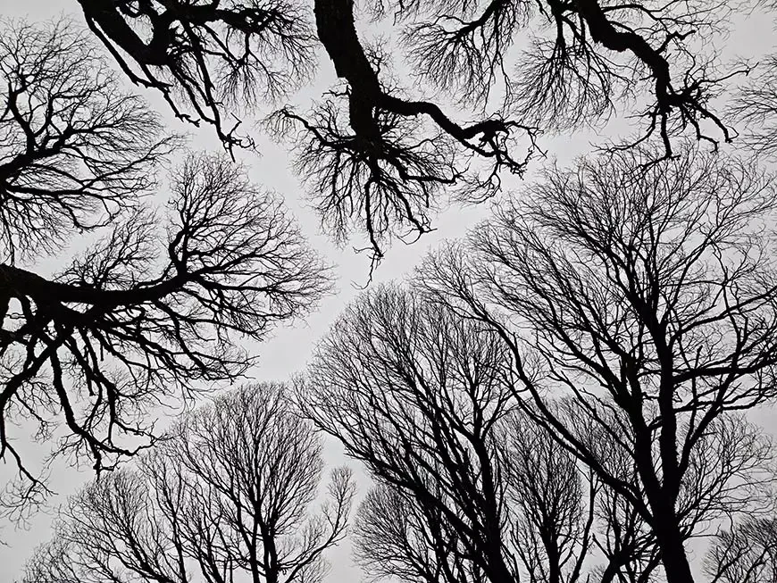 Примеры фотографий, сделанных камерой смартфона vivo V70