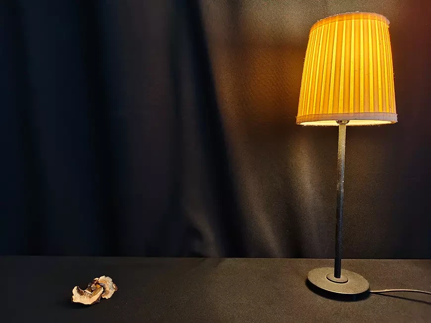 Примеры фотографий, сделанных камерой смартфона vivo V70