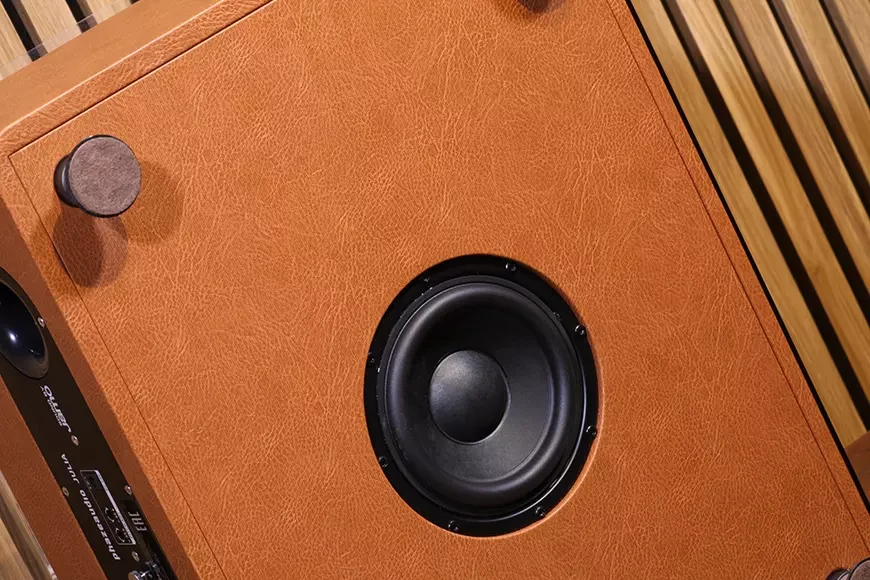 Проигрыватель виниловых пластинок со встроенной акустикой Phaze Audio Julia