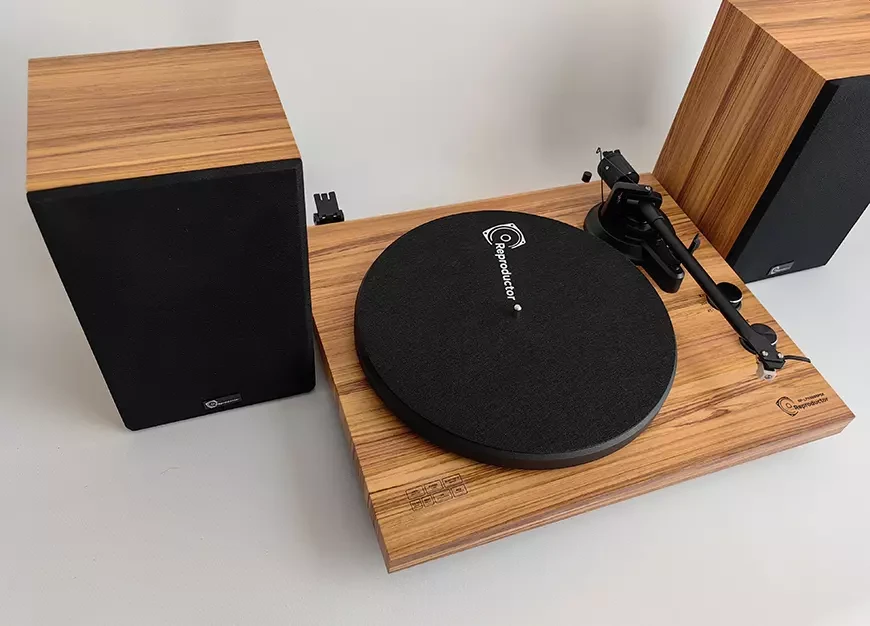Reproductor RP-LPX500SP