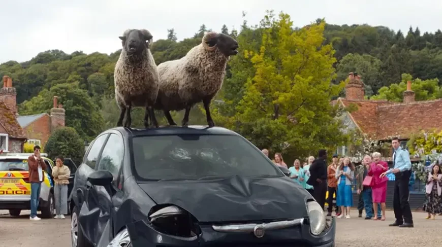 Следствие ведут овечки / The Sheep Detectives (2026)