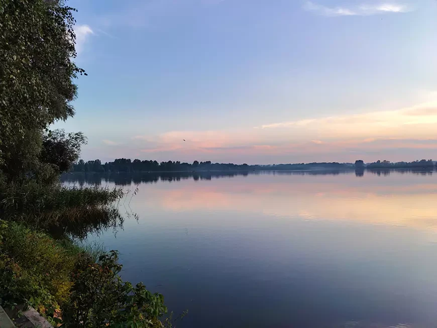 Примеры фотографий, сделанных камерой iQOO Z11