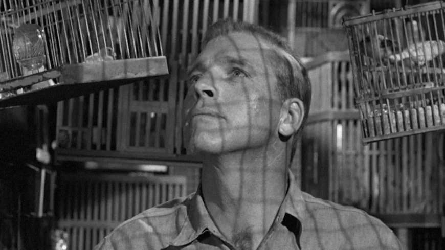 Любитель птиц из Алькатраса / Birdman of Alcatraz (1962)
