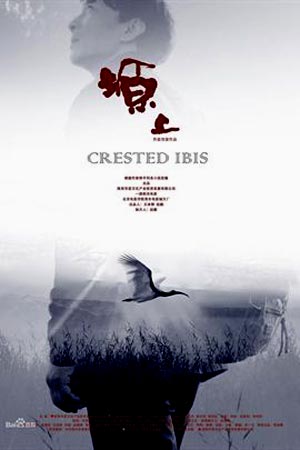 Хохлатый ибис (2017)