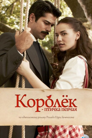 Королёк - птичка певчая (2013-2014)