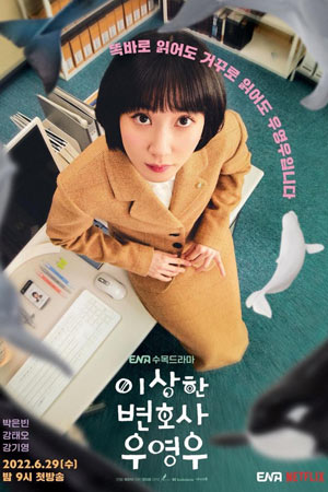 Необычный адвокат (2022)