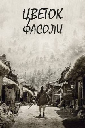 Цветок фасоли (2019)