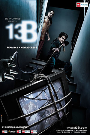 13Б: У страха новый адрес (2009)