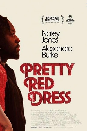 Красивое красное платье (2022)