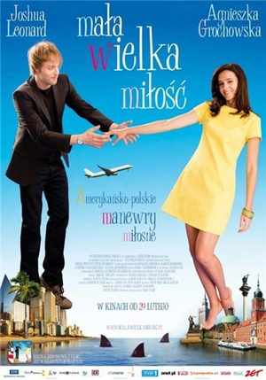 В ожидании любви (2008)
