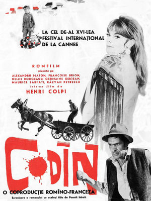 Кодин (1963)