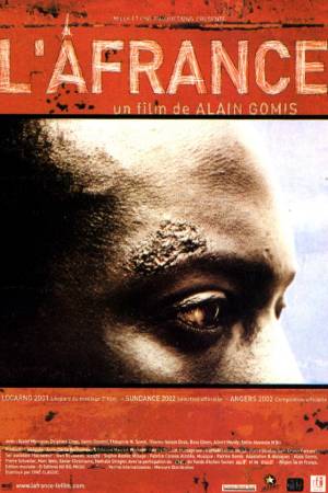 Франция и Африка (2001)