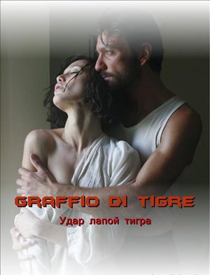 Удар лапой тигра (2007)