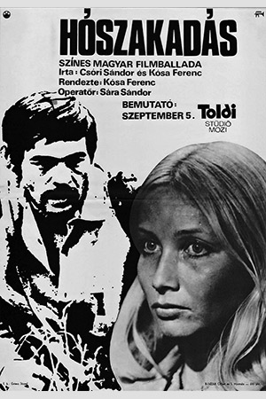 Снегопад (1974)