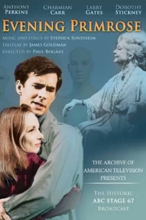 Вечерний первоцвет (1966)