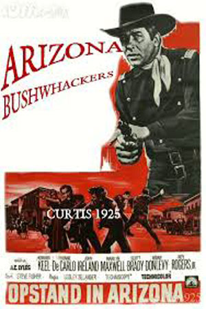 Аризонские ополченцы (1968)