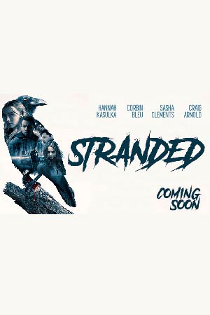 Ведьмы в лесу (2019)