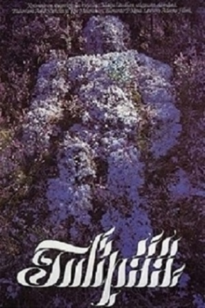 Страницы необычной жизни (1980)