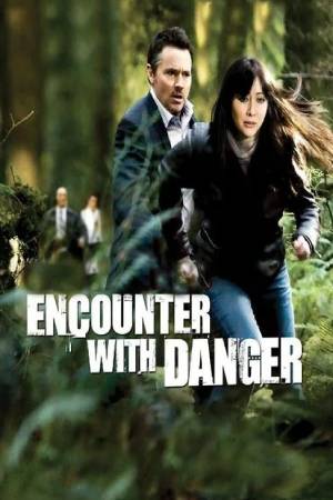 Встреча с угрозой (2009)