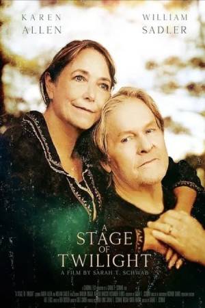 Стадия сумерек (2022)