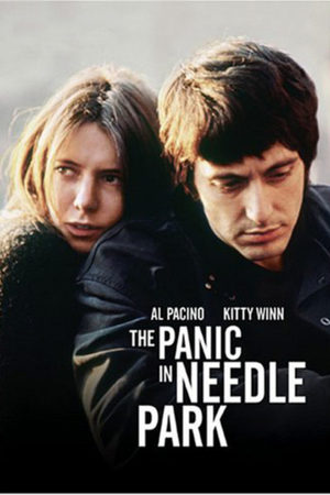 Паника в Ниддл-парке (1971)