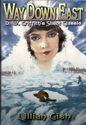 Водопад жизни (1920)