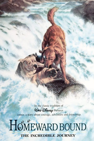 Дорога домой (1993)