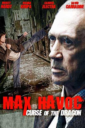 Макс-разрушитель: Проклятие нефритового дракона (2004)