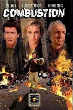 Возгорание (2004)