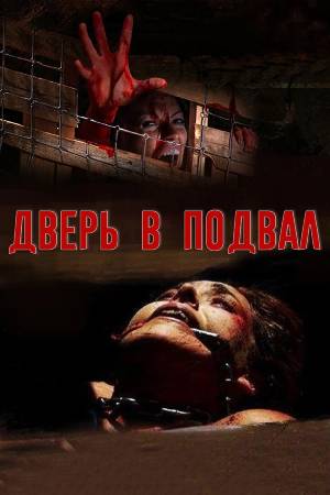 Дверь на чердак (2007)
