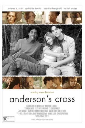 Крест Андерсона (2010)