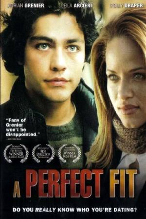 Идеальный вариант (2005)