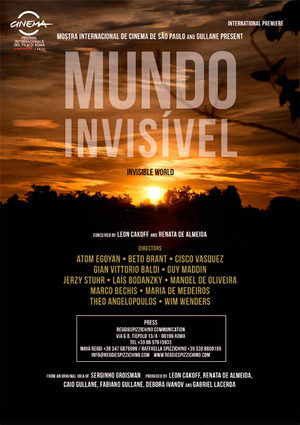 Невидимый мир (2012)