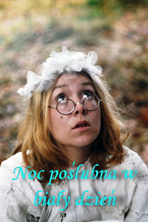 Брачная ночь среди белого дня (1982)