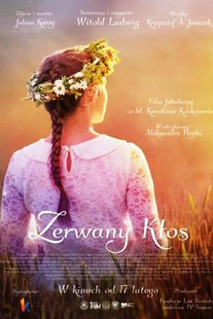 Сорванный колос (2017)