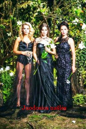 Чёрные вдовы (2016)