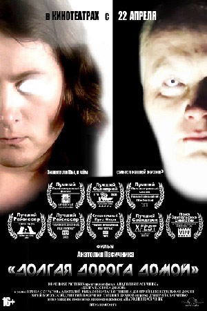Долгая дорога домой (2017)