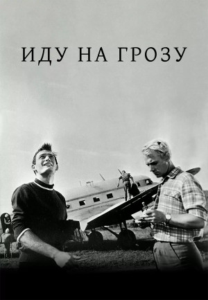 Иду на грозу (1965)