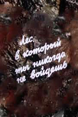 Лес, в который ты никогда не войдёшь (1978)