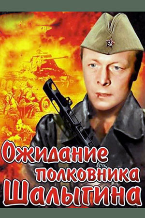 Ожидание полковника Шалыгина (1981)