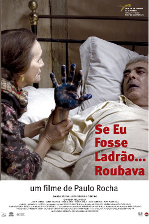 Если бы я был вор... Украл (2013)