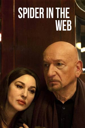 Паук в паутине (2019)