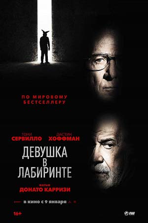 Девушка в лабиринте (2019)