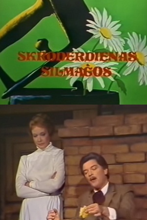 Дни портных в Силмачах (1987)