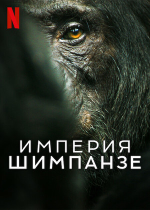 Империя шимпанзе (2023)