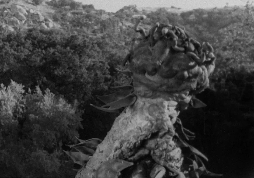 28. Таящийся ужас / The Creeping Terror (1964)